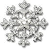 Snowflake - Ilustracije - 