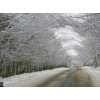 snijeg - Background - 