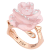 jewelry ring - Mie foto - 
