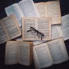 journals and glasses - Zwierzęta - 
