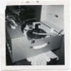 june 1960 cat and record player photo - Životinje - 