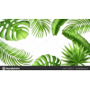 jungle - Background - 