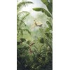 jungle background - Background - 