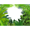 jungle background - Tła - 
