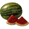 Watermelon - モデル - 