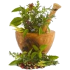 biljke - Piante - 