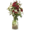 vaze - Biljke - 
