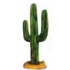 Far West Cactus - Rastline - 