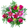 kwiaty - Pflanzen - 