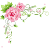 kwiaty - Plants - 