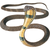 zmija - Animales - 