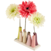 Vaze sa cvijećem - Illustrazioni - 