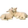 lambs - 動物 - 