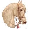 late 19th cen horse illustration - 插图 - 