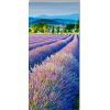 lavanda - Uncategorized - 