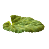 Leaf Green Plants - Rastline - 