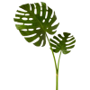 leaf - Biljke - 