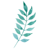 leaf - Biljke - 