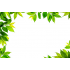 leaf border - Фоны - 