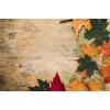 leaves - Background - 