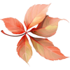 leaves - Items - 