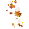 leaves - Predmeti - 