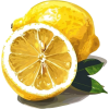 lemons - Lebensmittel - 