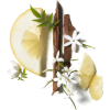 lemon tea - Živila - 