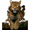 leopard background - Tła - 