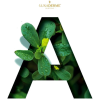 letter A - Ilustracije - 