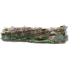 log with moss - Природа - 