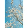 lumi - Uncategorized - 