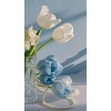 lumi - Uncategorized - 