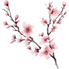 lumi - Uncategorized - 