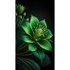 lumi - Uncategorized - 