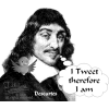 Descartes on Twitter - Personas - 