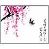 cherry blossom - Minhas fotos - 