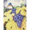 grapes and bird - Ilustracje - 