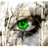 green eye2 - Ilustracje - 