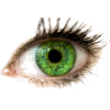 green eye - Ilustracje - 