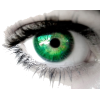 green eye - Illustraciones - 