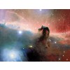 horsehead nebula - Natur - 