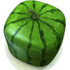 Watermelon - Voće - 