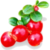 red fruits - Frutas - 