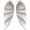 angel wings - イラスト - 