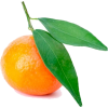 Mandarina - Fruit - 