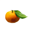 mandarina - Frutta - 