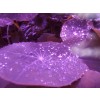 purple rain - Fondo - 