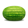 watermelon - 插图 - 