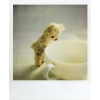 Polaroid Pictures  - Items - 